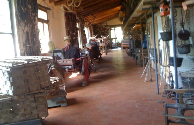 Agriturismo Fattoria di Castiglionchio - Foto 49