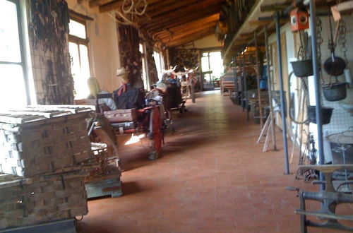 Foto 49 - Agriturismo Fattoria di Castiglionchio