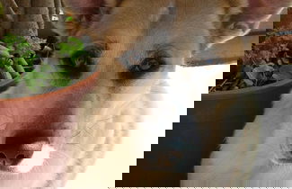 Foto 48 - Palazzo Pantaleo