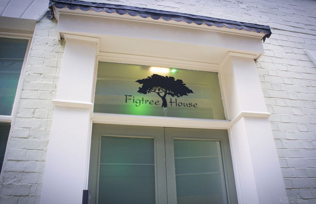 Homely Serviced Apartments - Figtree - Foto 32