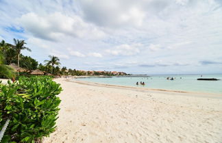 Photo 3 - Caribbean Chic Apartment Beachfront Complex Marvelous Pool Gardens Private Terrace