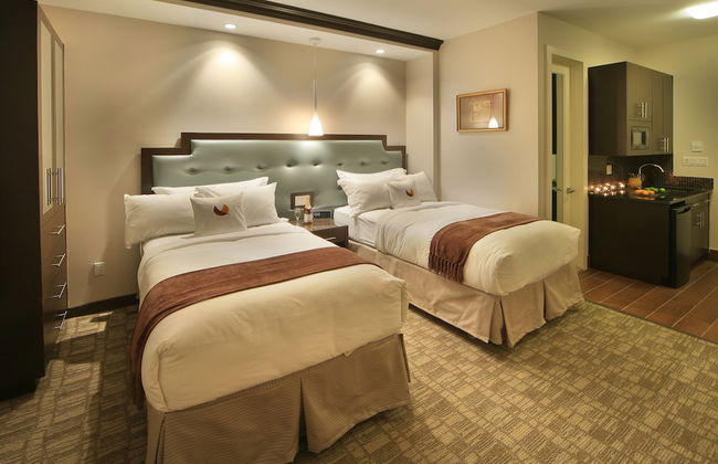 Aura Hotel Brooklyn - Foto 7