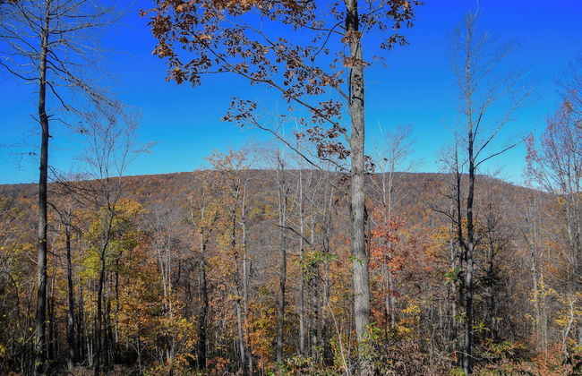 Moonlight Ridge - Foto 46