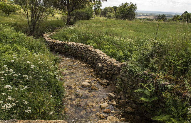 Casa Rural Las Fuentes de Ágata - Photo 35