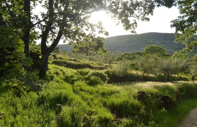 Casa Rural Las Fuentes de Ágata - Photo 25