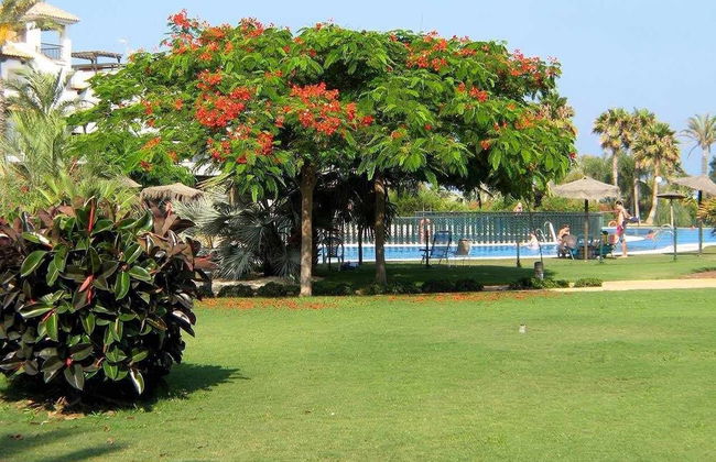 VenAVera E21B - 1 Bedroom/1Bath Beachfront WIFI - Foto 28