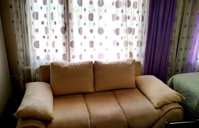 Cemed House - Foto 19