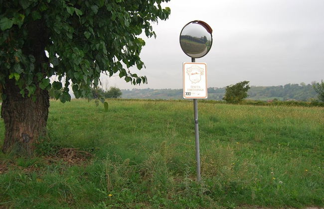 Tenuta Fortelongo - Foto 34