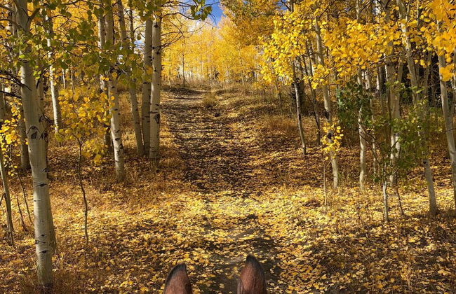 Vista Verde Ranch All-inclusive - Adults Only - Foto 62