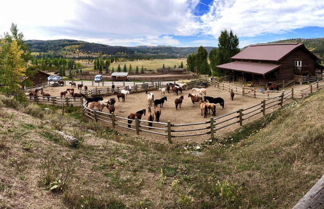 Vista Verde Ranch All-inclusive - Adults Only - Foto 38