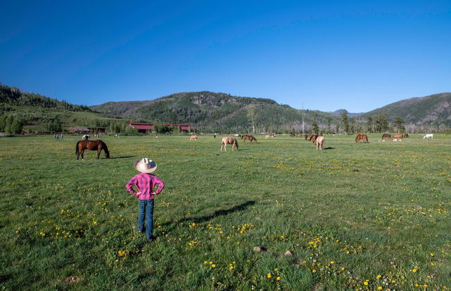 Vista Verde Ranch All-inclusive Cabin - Foto 17