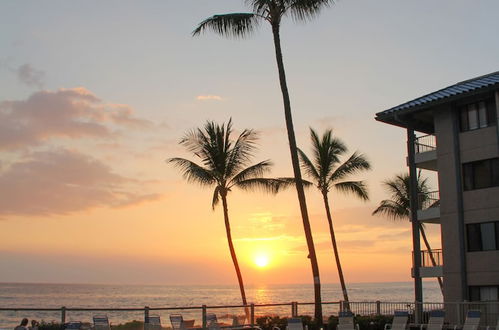 Photo 43 - Kona Reef Resort