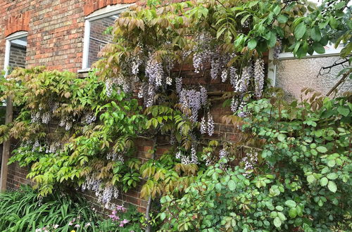 Photo 20 - The Old Bookbinders Retreat