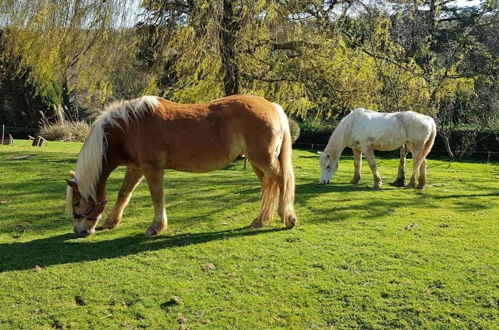 Photo 18 - Davy Cottage in the Countryside With Horse Riding