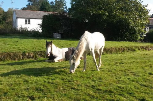 Foto 22 - Davy Cottage in the Countryside With Horse Riding