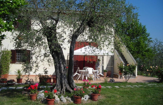 Agriturismo Podere Sottogello - Photo 14
