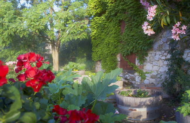Tregole - Foto 28