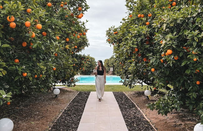 Quinta dos Perfumes - Foto 43