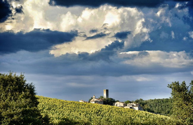 Agriturismo Casa Greppo - Il Melograno - Foto 42
