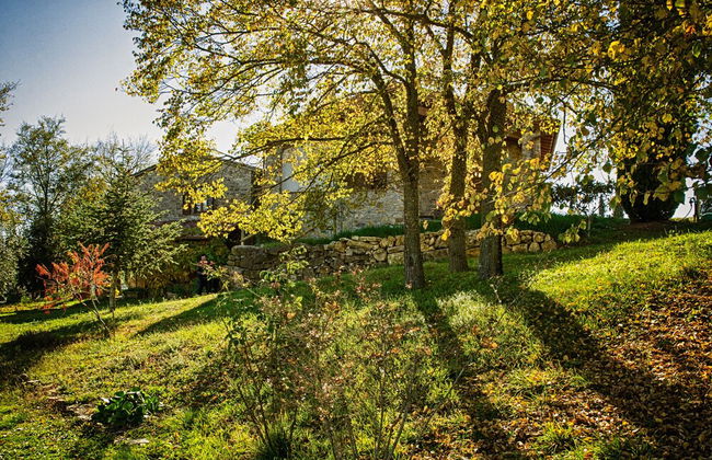 Agriturismo Casa Greppo - Il Melograno - Foto 33