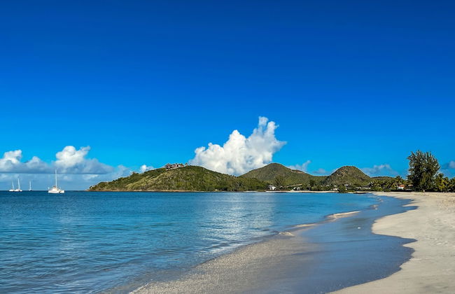 Villa Papillon - Foto 73