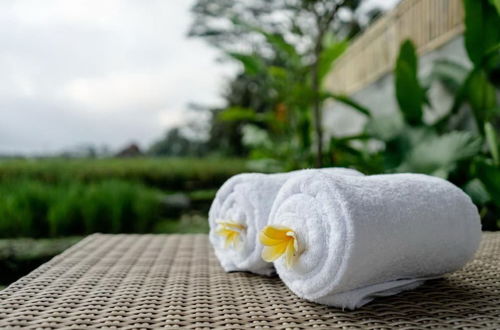 Photo 14 - Ubud Private Pool Villa and Spa