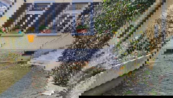 Primary image