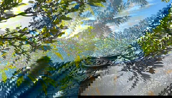 Imagem principal