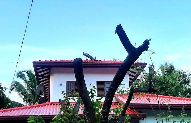 Udara Guest Yala - Foto 10