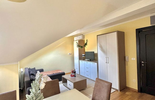 Green Hill Zlatibor Apartment - Foto 8