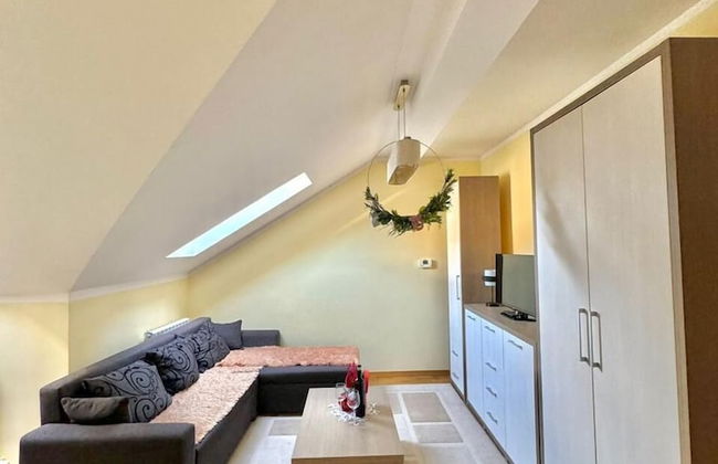 Green Hill Zlatibor Apartment - Foto 11