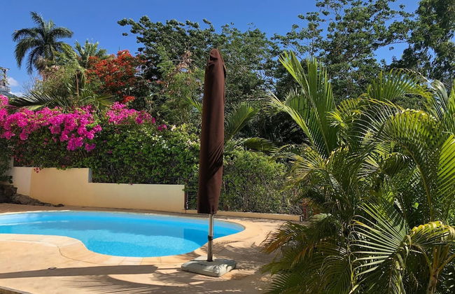 Black River Villa Turquoise 3bdr, sea View - Foto 35