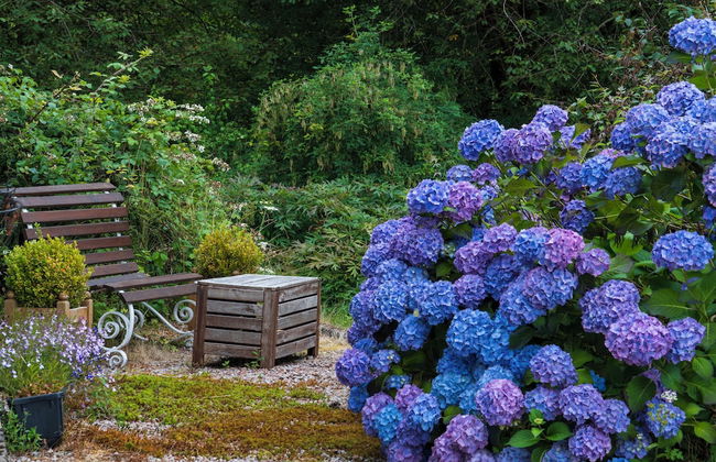 Killean Farmhouse Cottages - Foto 70