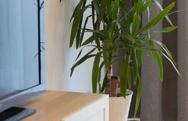 Krasinskiego Comfy Apartament by Renters - Photo 28