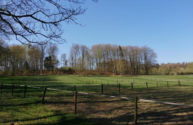 Holiday Home in Ferrieres With Garden - Foto 37