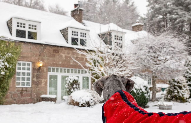 The Stables Cottage Aboyne Royal Deeside - Foto 42
