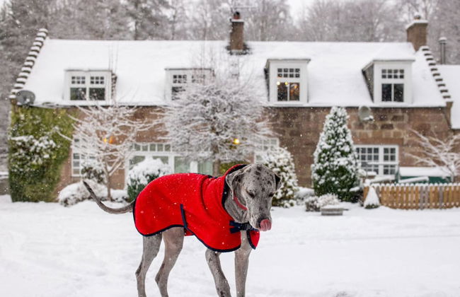 The Stables Cottage Aboyne Royal Deeside - Foto 40