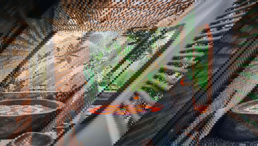 Imagem principal