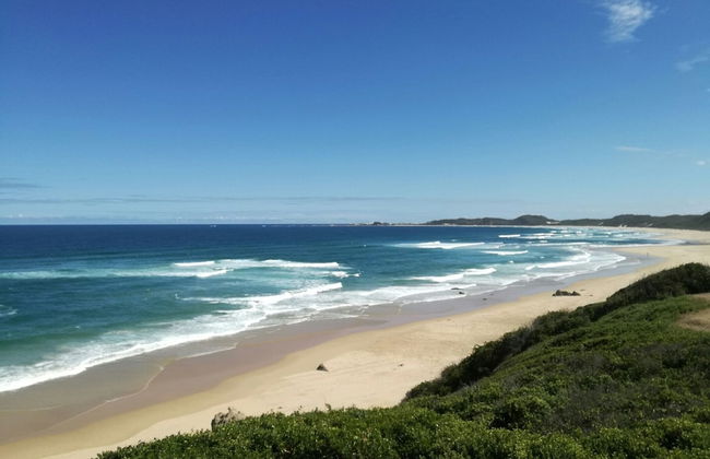 Experience Nature at Brenton on Sea With Breakers Dolphins and Whales - Foto 27