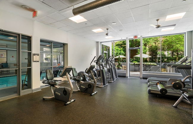 Pentagon City Apt Cozy & Convenient - Foto 33