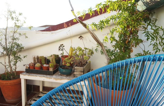 VIC Aveiro Arts House - Foto 56
