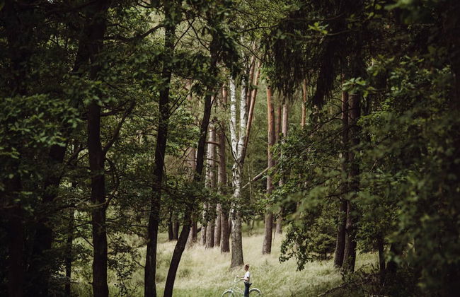 Apartment in Gronowo Near Lake Siecino - Foto 19