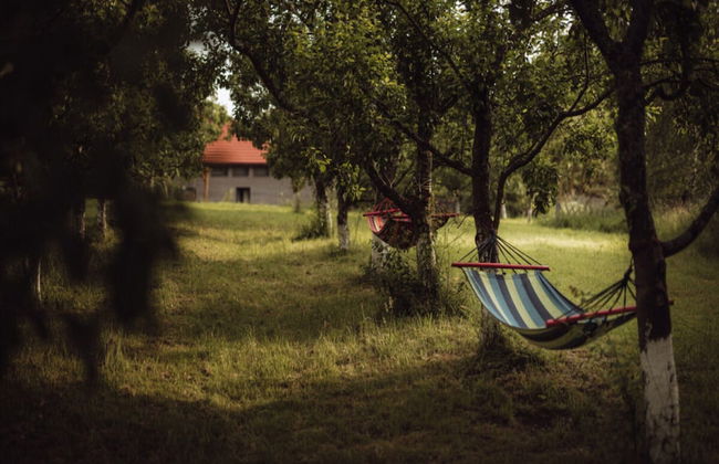 Apartment in Gronowo Near Lake Siecino - Foto 12
