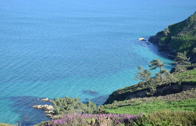 Cottage, Crozon - Foto 27