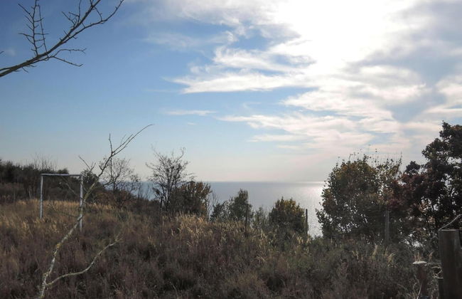 Bungalow in Lubin at 300 m From the Lake - Photo 30