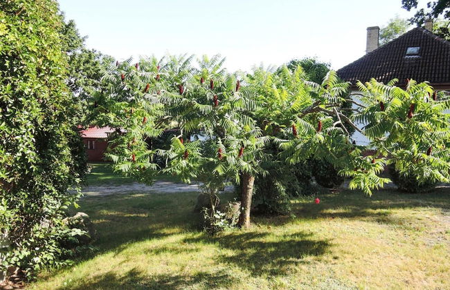 Bungalow in Lubin at 300 m From the Lake - Photo 31