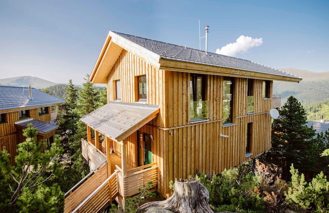 Lovely Chalet in Turracherhohe With Sauna - Foto 20