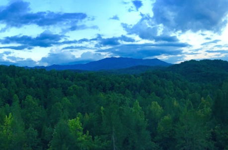Foto 49 - Greenbrier Estate Luxury Theaters Mesmerizing Views