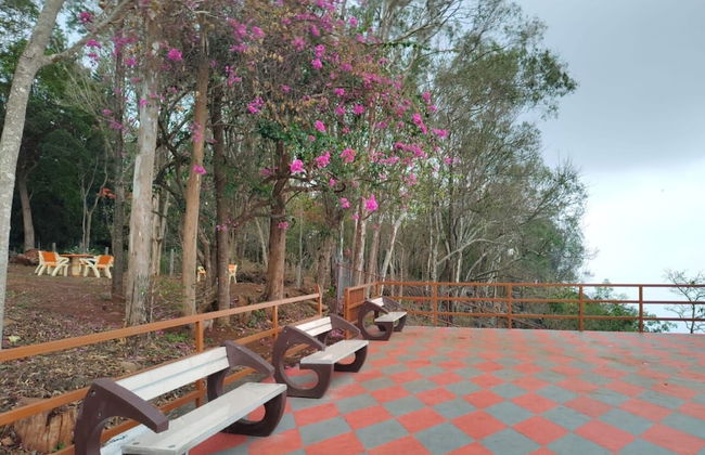 Clermont Resorts - Foto 5