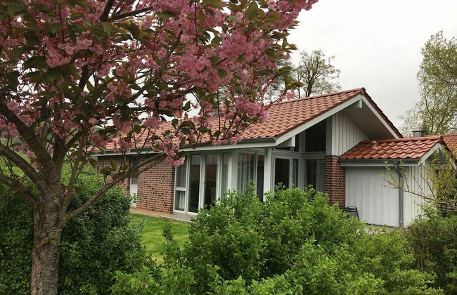 Ferienhaus Mueritzhus an der Mueritz - Foto 14